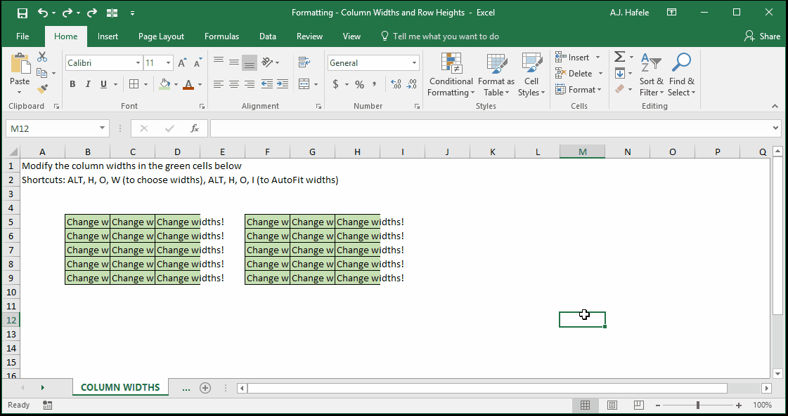 Column Widths and Row Heights