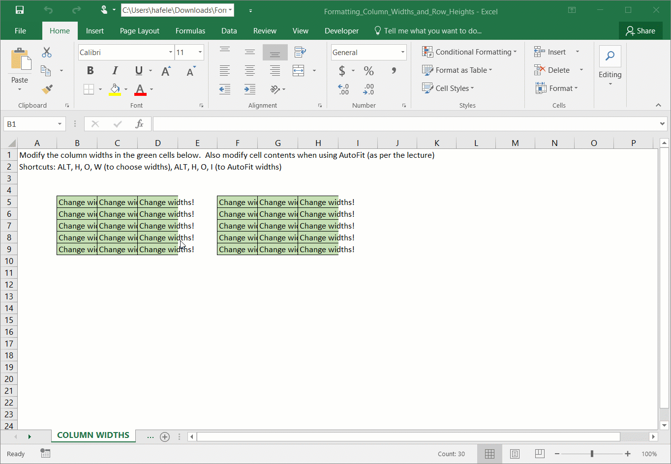 Column Widths and Row Heights
