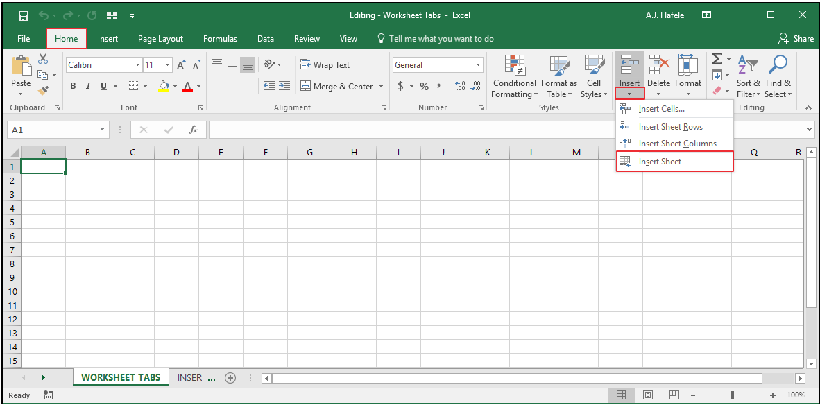 Worksheet Tabs