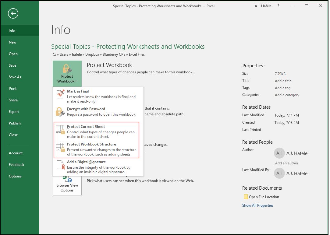 Protecting Worksheets and Workbooks